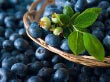 Heidelbeeren