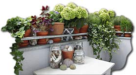 Baumschule Horstmann - Wir lieben Pflanzen