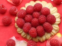 Himbeere 'Himbostar'  � - Rubus idaeus 'Himbostar'  �