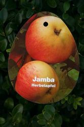 Jamba hier bestellbar Foto Horstmann
