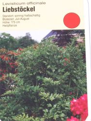 Liebst&ouml;ckel Foto Horstmann