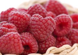 Himbeere 'Sanibelle' -S- � - Neuheit! - Rubus idaeus 'Sanibelle' -S- �