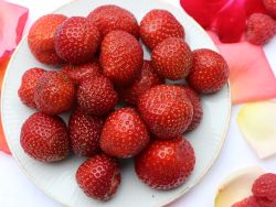 Erdbeere 'Sonata' � - Fragaria 'Sonata' �