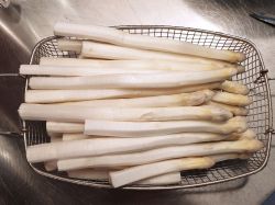 Spargel 'Huchel's Hochzucht' wei� - Asparagus 'Huchel's Hochzucht' wei�