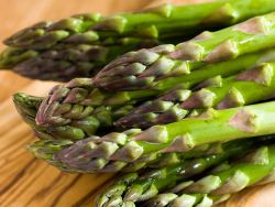 Gr�nspargel 'Huchel's Schneewittchen' gr�n - Asparagus ' Huchel's Schneewittchen'  gr�n