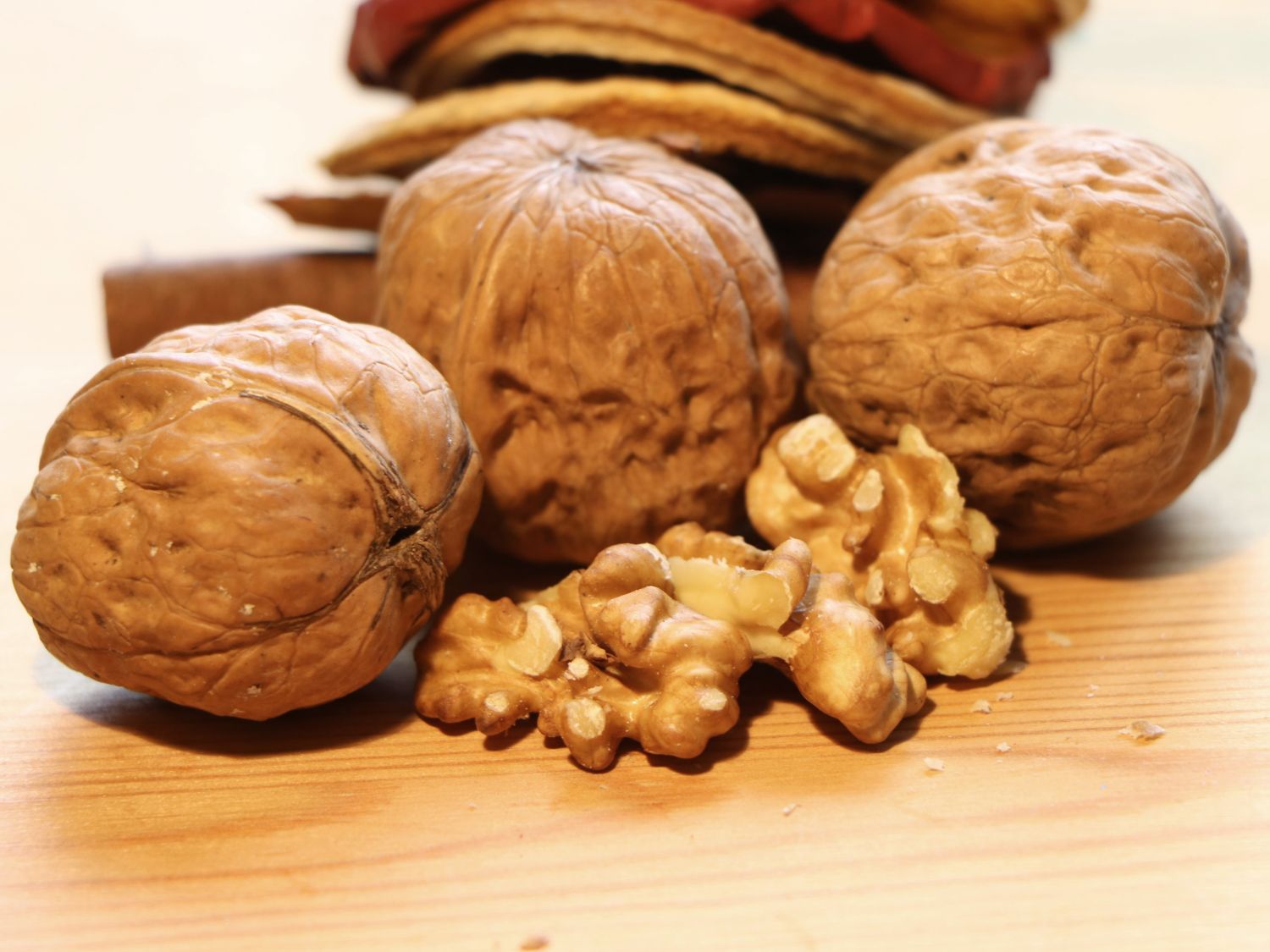 Walnuss aus Samen, echte Walnuss Juglans regia Baumschule Horstmann