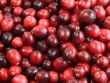 [Bild Cranberry / Gro�fr�chtige Moosbeere / Gesundheitsbeere]