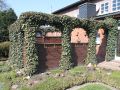 Efeu  'Woerner' - Hedera helix 'Woerner'