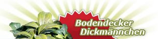 Dickm�nnchen