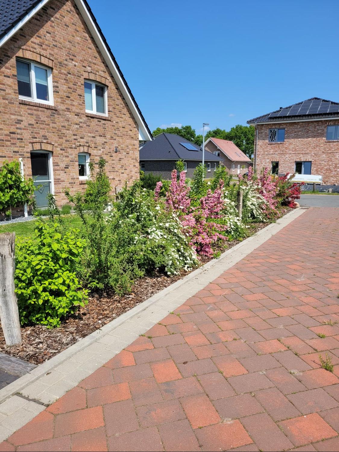 Zierstrauchhecke aus 10 Pflanzen - um diese Hecke wird Sie jeder