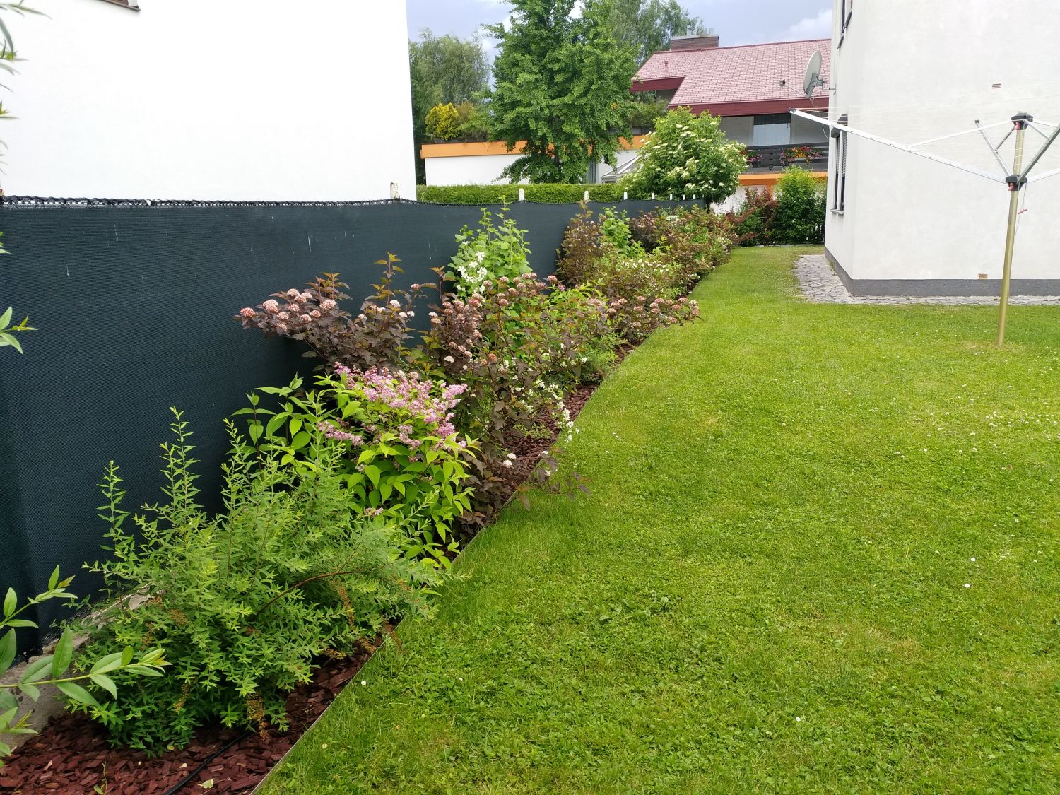 Zierstrauchhecke aus 10 Pflanzen - um diese Hecke wird Sie jeder