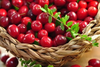 Haben Sie noch nicht das richtige Obst gefunden? Dann werfen Sie doch mal einen Blick in diese Rubrik, wir haben noch ein paar Frchtchen fr Sie zusammengestellt!