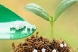 Optimale Dnger & Erden sorgen fr die Grundlage, die Pflanzen fr ein krftiges & gesundes Wachstum bentigen. Produkte zur Bodenvorbereitung & -verbesserung, effektive Dnger, die den Gartenpflanzen wichtigste Nhrstoffe liefern.