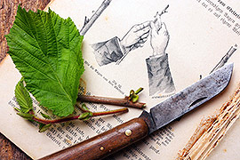 Fr die Veredelung von Pflanzen ist das bestmgliche Werkzeug gerade gut genug. Bei genauen Schnitten ist ein sicherer und einfacher Umgang mit den Gertschaften wichtig. Ob Profi oder Einsteiger, das Veredeln von Pflanzen gelingt mit Produkten aus diesem Sortiment leicht. Das wichtigste Werkzeug bei der Veredelung von Pflanzen ist ein scharfes Messer. Zudem komplettieren Utensilien, die in praktischen Komplett-Sets zusammengefgt sind, das optimale Equipment eines jeden, der sich dem Veredeln von Pflanzen widmen mchte.