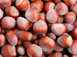 Baumschule horstmann