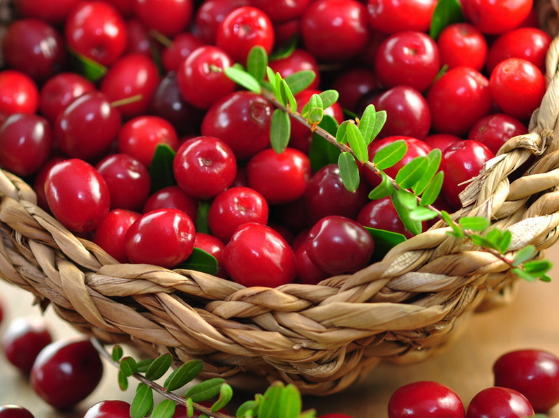 Cumpără extract natural de afine în Chișinău și Moldova, cranberry now foods, capsule