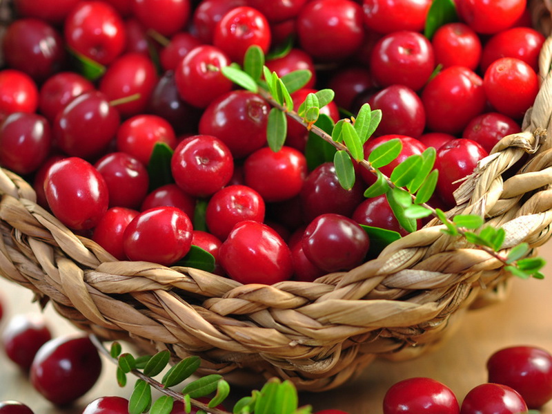 Cranberry, 60 comprimate, Beres Pharmaceuticals : Farmacia Tei, Cranberries de la varicoseza