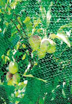 2X5m CHZIMADE Vogelschutznetz Garten Pflanzen Baum Vogelschutznetz Netz für Obst 1 Stück 