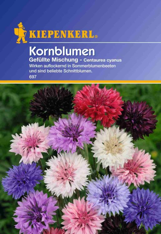 Centaurea Kornblume gefllte Mischung - Kiepenkerl  - Baumschule Horstmann