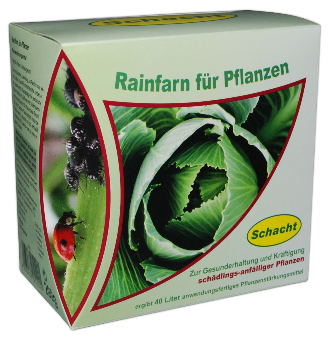Rainfarn für Pflanzen - Schacht - Baumschule Horstmann
