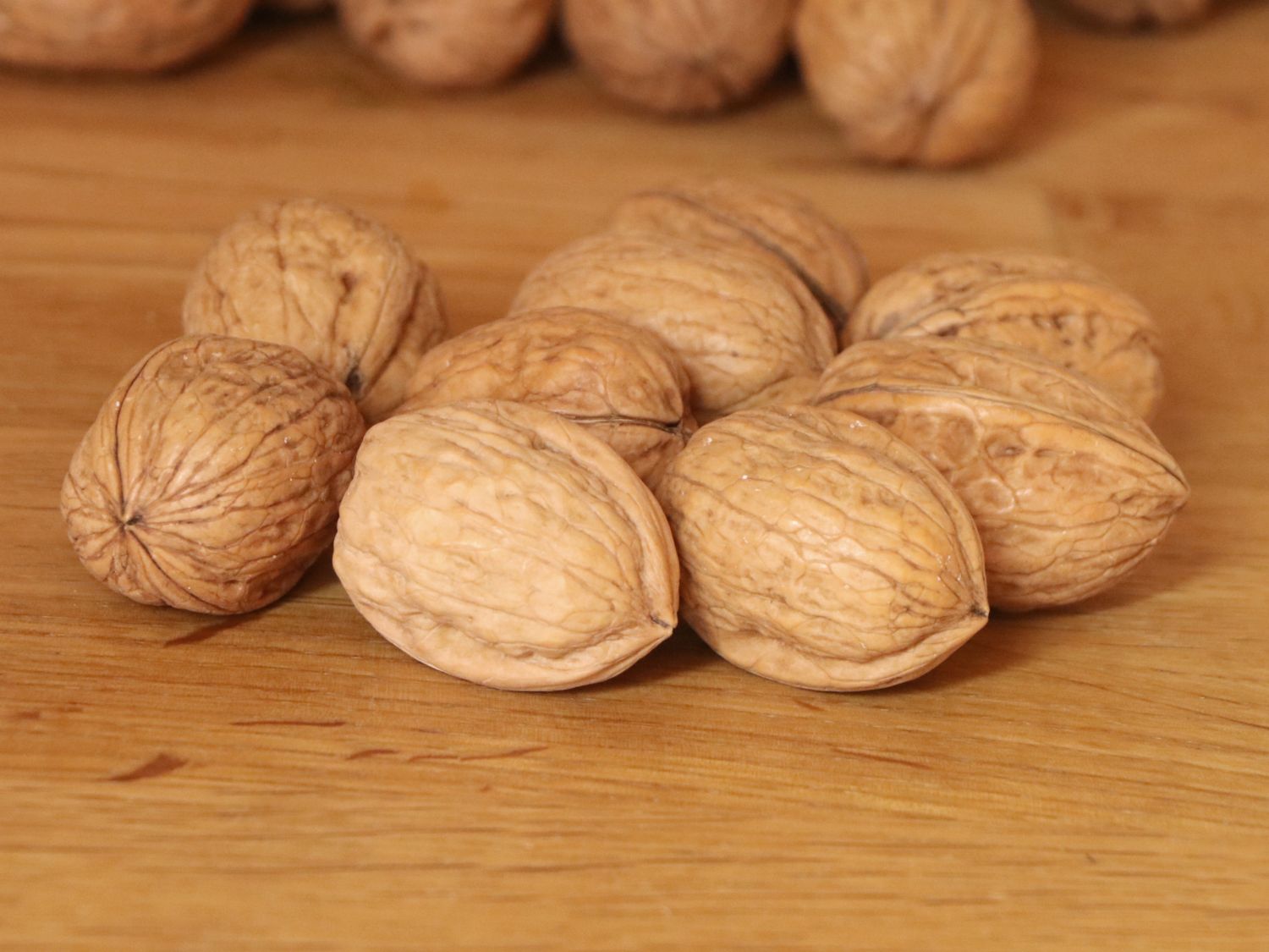 Walnuss &amp;#39;Jupiter&amp;#39; - Juglans regia &amp;#39;Jupiter&amp;#39; - Baumschule Horstmann